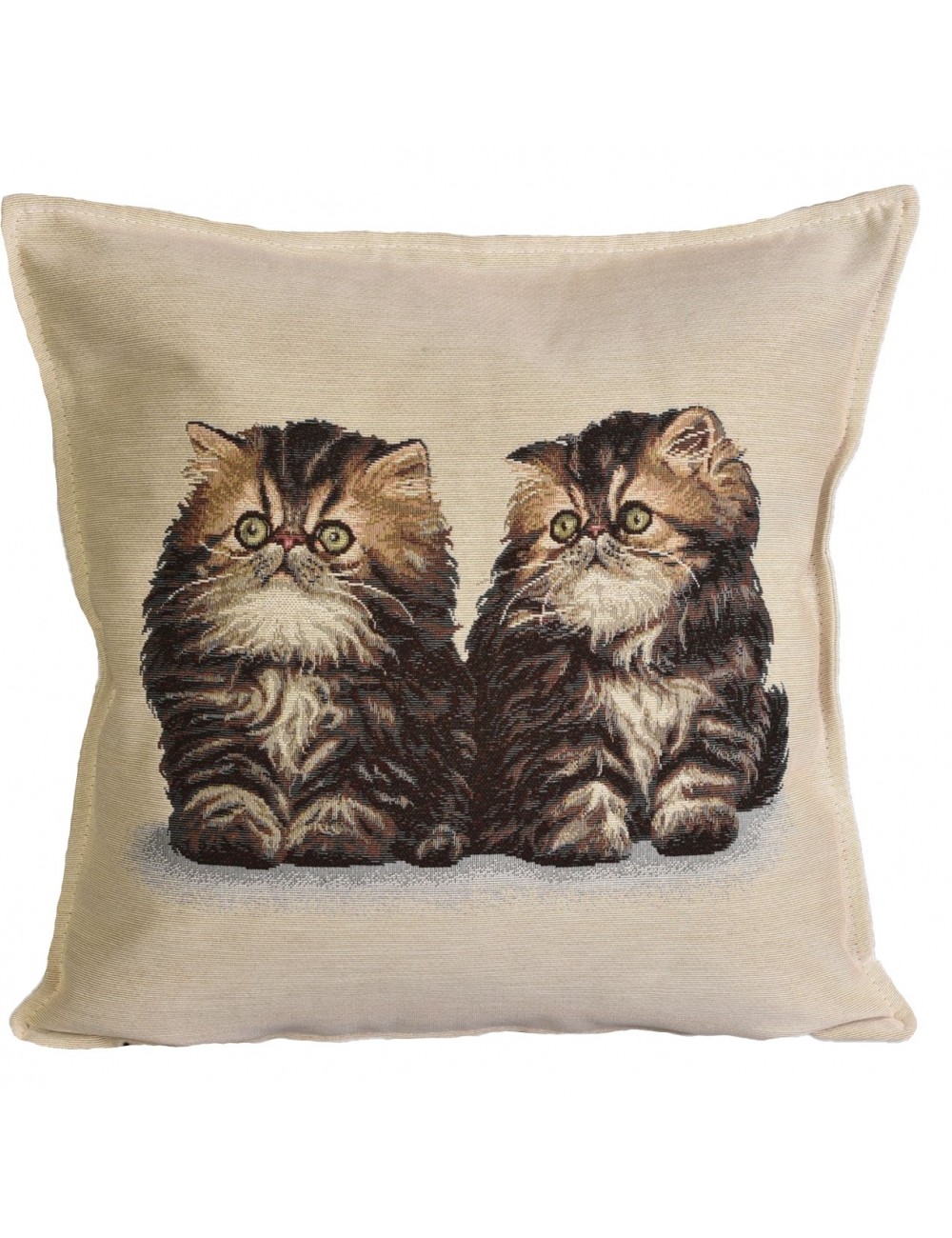 Gobelin decorative cushion...